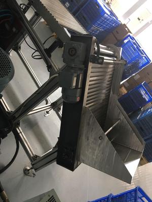定制链板提升机